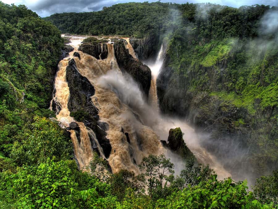 From Port Douglas: Kuranda via Scenic Rail or Skyrail Option - FAQ