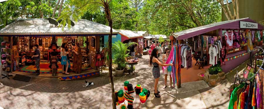 From Port Douglas: Kuranda via Scenic Rail or Skyrail Option - The Kuranda Scenic Railway through 15 tunnels