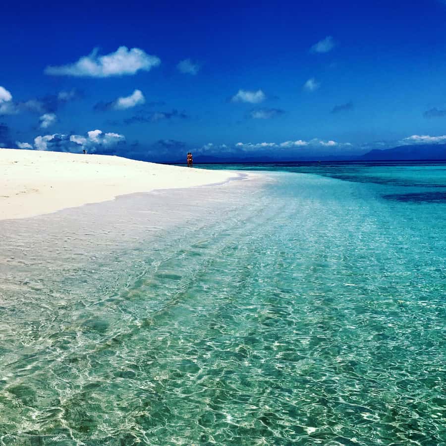 From Port Douglas: Outer Reef Cruise by Luxury Catamaran - Who will enjoy this Port Douglas reef trip?