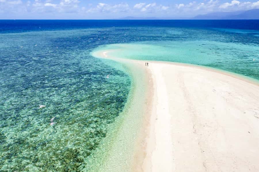 From Port Douglas: Outer Reef Cruise by Luxury Catamaran - Tropical buffet lunch aboard the catamaran