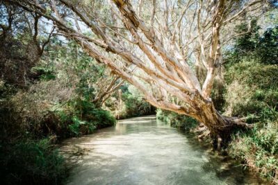 From Rainbow Beach: K’gari Fraser Island Full-Day Coach Tour