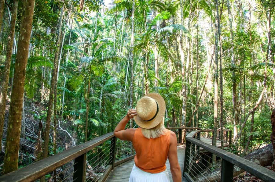 From Rainbow Beach: K'gari Fraser Island Full-Day Coach Tour - Eli Creek offers a different kind of swim