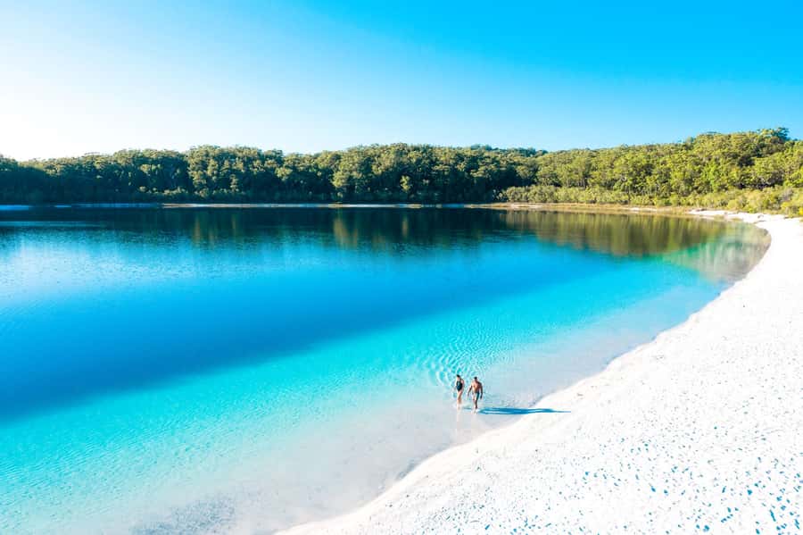 From Rainbow Beach: K'gari Fraser Island Full-Day Coach Tour - 75 Mile Beach and the Maheno shipwreck
