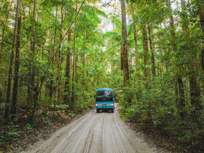 From Rainbow Beach: K'gari Fraser Island Full-Day Coach Tour - The guides shape the whole day