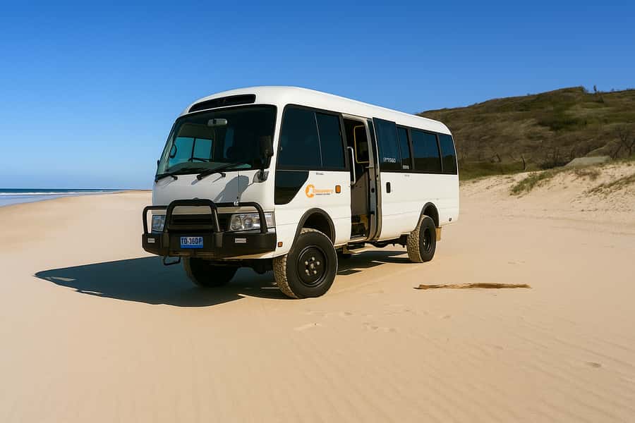 From Rainbow Beach: K'gari (Fraser Island) Full-Day Tour - Why this K’gari day trip works