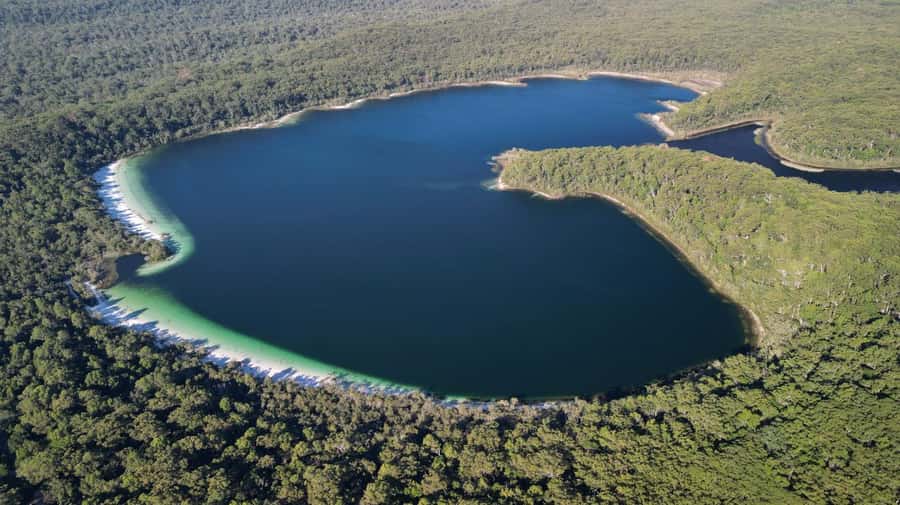 From Rainbow Beach: K'gari (Fraser Island) Full-Day Tour - What the guides add to the day