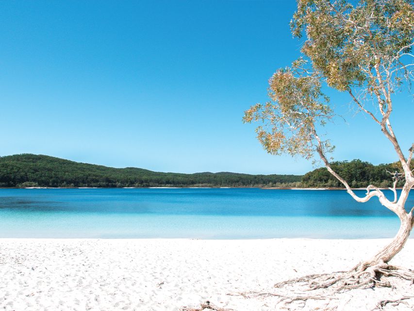 From Rainbow Beach: K'gari, Fraser Island Two-Day Coach Tour - 75 Mile Beach is both highway and open coastline
