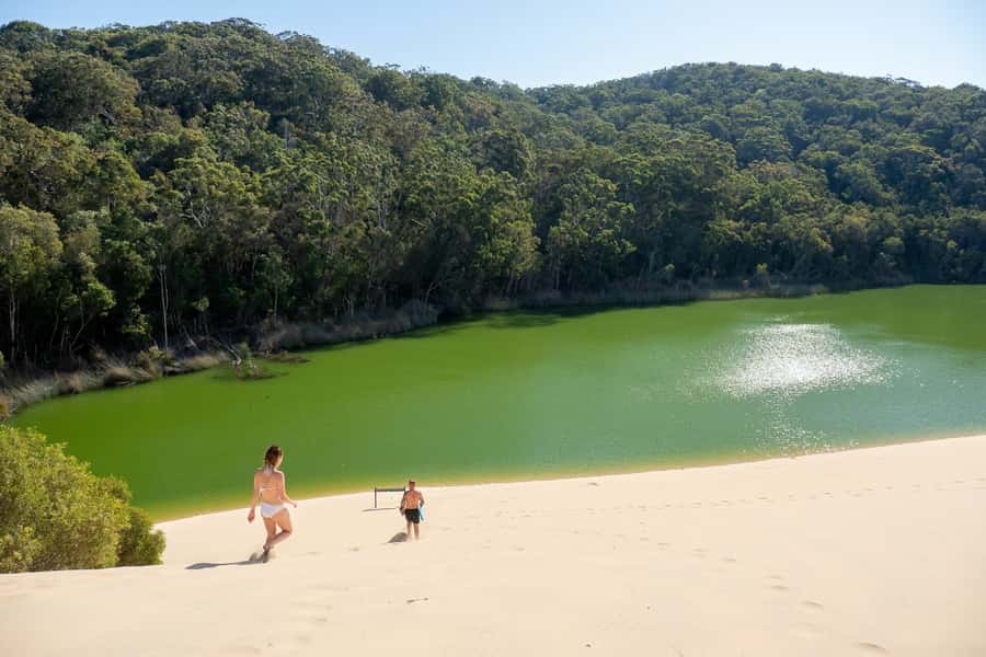 From Rainbow Beach: K'gari, Fraser Island Two-Day Coach Tour - Indian Head and the Champagne Pools