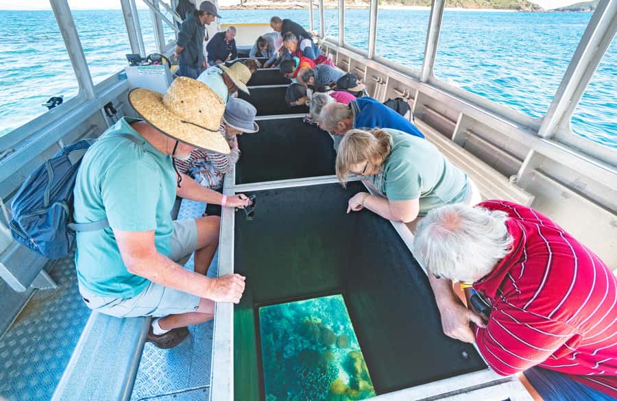 From Rosslyn: Great Keppel Island Adventure Tour with Lunch - Seeing coral through the glass-bottom boat
