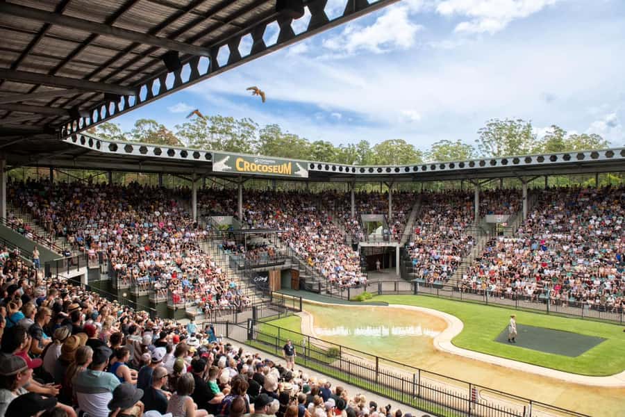 From Sunshine Coast: Australia Zoo Entry Ticket and Transfer - A short stop at the Australia Zoo Wildlife Hospital