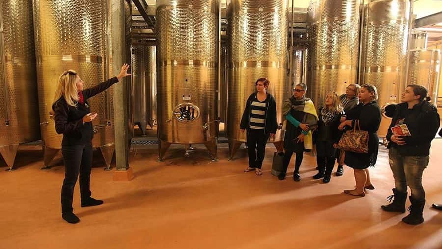 From Sydney: Award-Winning Hunter Valley Wine & Cheese Tour - Comfortable transport matters on a 10-hour outing