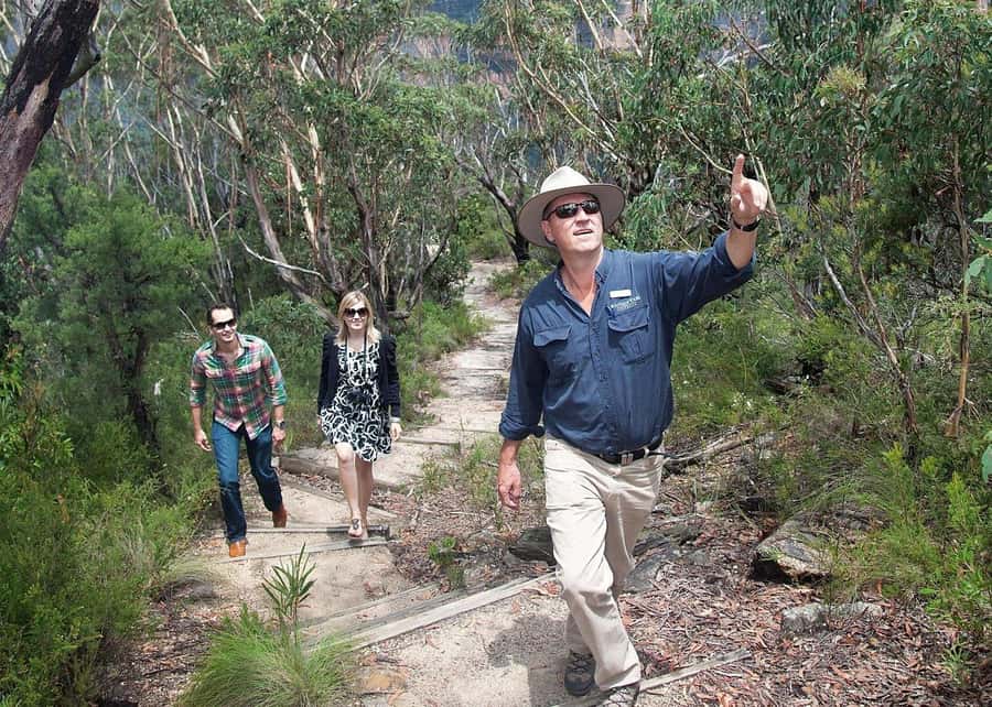 From Sydney: Blue Mountains Bushwalks & Featherdale Tour - Why this tour works as a full day from Sydney