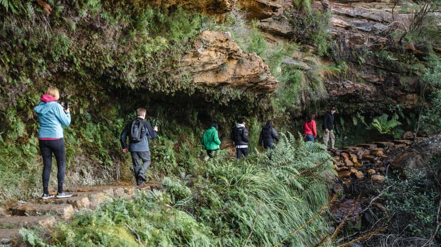 From Sydney: Blue Mountains Bushwalks & Featherdale Tour - Wentworth Falls and the practical side of the bushwalk