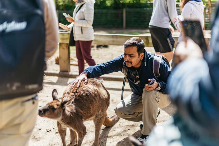 From Sydney: Blue Mountains Full-Day Trip - Echo Point and the Three Sisters
