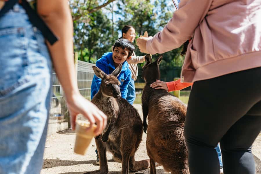 From Sydney: Blue Mountains Full-Day Trip - Is $148 good value?