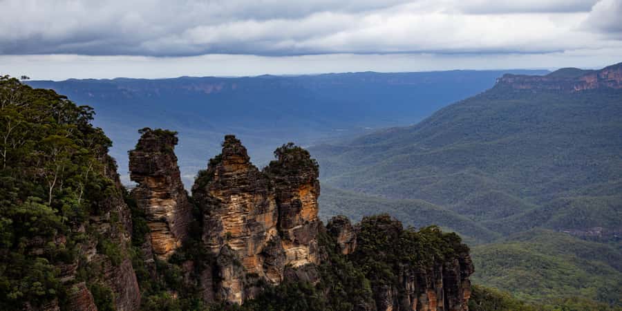 From Sydney: Blue Mountains, Scenic Railway, & Sydney Zoo - Sydney Zoo: kangaroos and a First Nations presentation