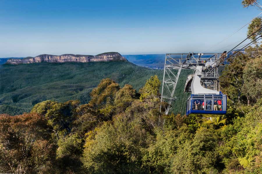 From Sydney: Blue Mountains, Scenic World, Zoo, & Ferry Ride - Sydney Zoo and close looks at Australian animals