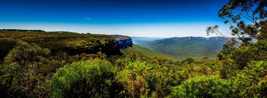 From Sydney: Blue Mountains Small-Group Tour Picnic & Hike - Why this Blue Mountains day works