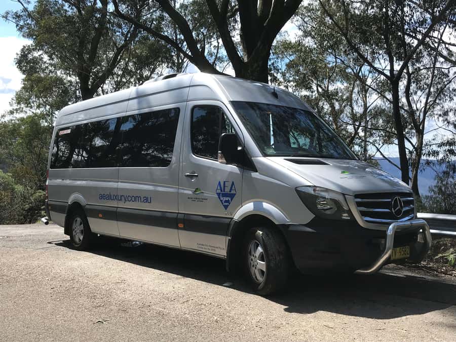 From Sydney: Blue Mountains Small-Group Tour Picnic & Hike - The Blue Mountains Botanic Garden stop