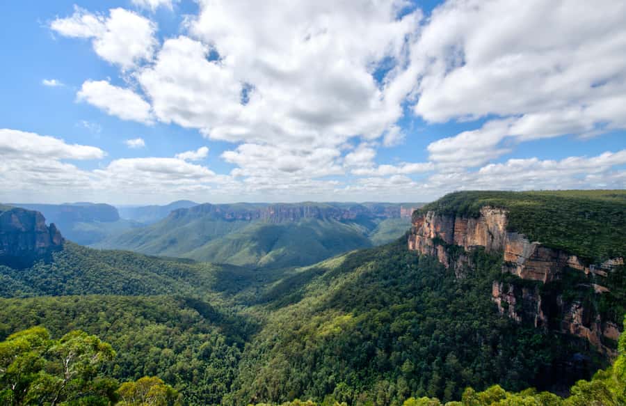 From Sydney: Blue Mountains, Sydney Zoo & Walking Tour - Walking near Katoomba Falls