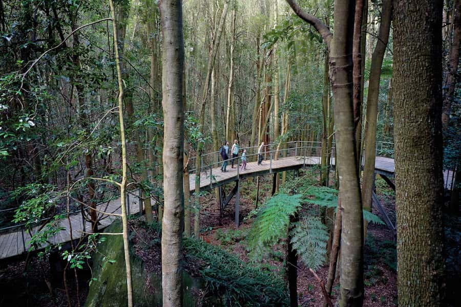 From Sydney: Blue Mountains, Sydney Zoo & Walking Tour - Scenic World rides are optional
