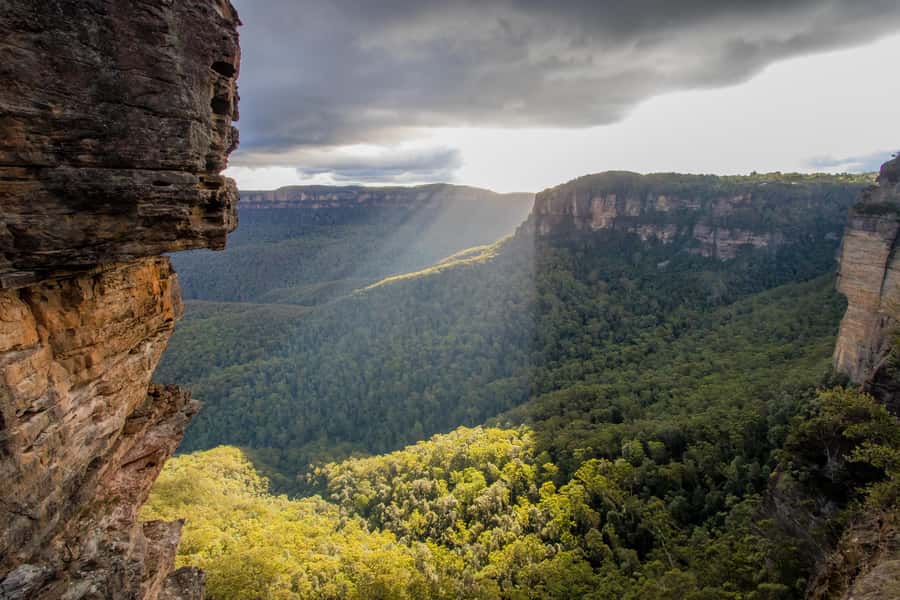From Sydney: Blue Mountains, Sydney Zoo & Walking Tour - Is $77 good value?