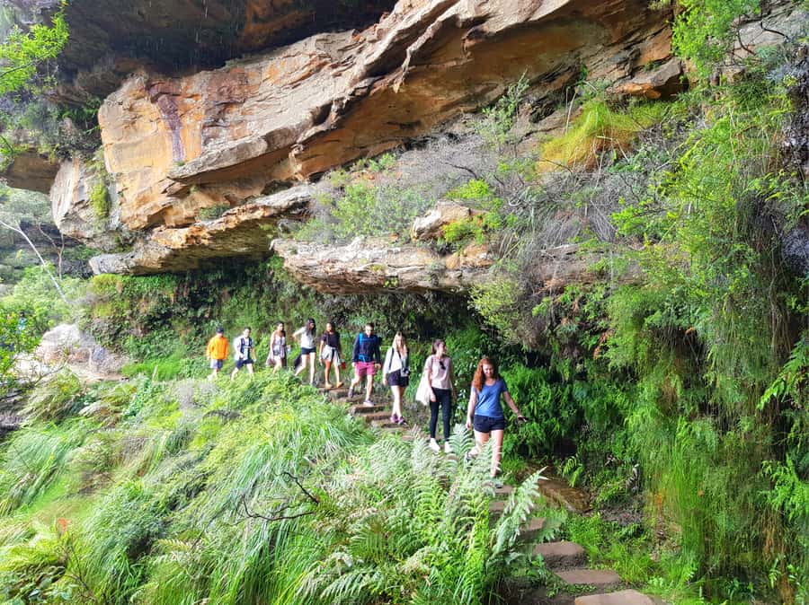 From Sydney: Blue Mountains Tour with Waterfall Walk & Lunch - Lookouts, waterfalls, and changing plans