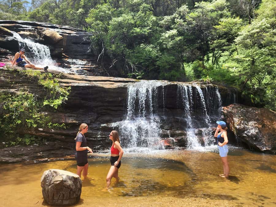 From Sydney: Blue Mountains Tour with Waterfall Walk & Lunch - What lunch is really like