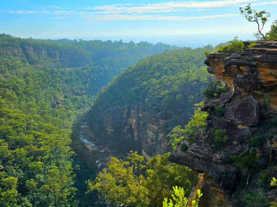 From Sydney: Blue Mountains Tour with Waterfall Walk & Lunch - Who should book this Blue Mountains tour?