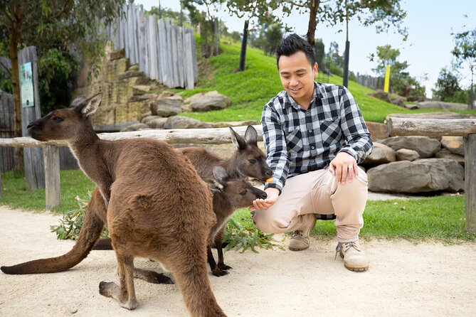 From Sydney: Blue Mountains with Zoo, Koala Photo & Scenic World - Scenic World turns scenery into an attraction