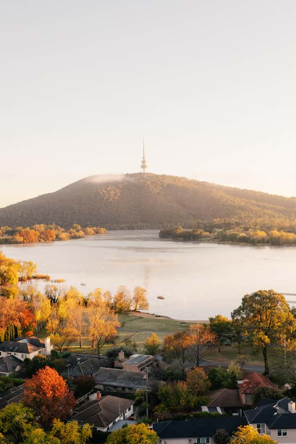 From Sydney: Canberra Floriade Festival Includes Lunch - What the guides add to a long day