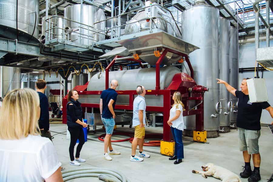 From Sydney: Full-Day Hunter Valley Tour w/ Tastings & Lunch - Who will get the most from this tour?