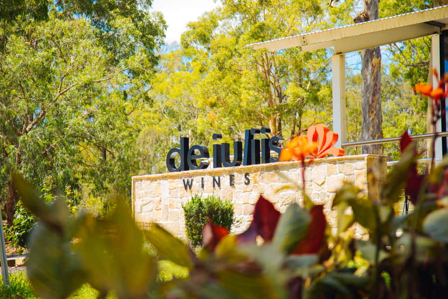 From Sydney: Full-Day Hunter Valley Tour w/ Tastings & Lunch - Third winery: cheese, wine, and the final vineyard stop