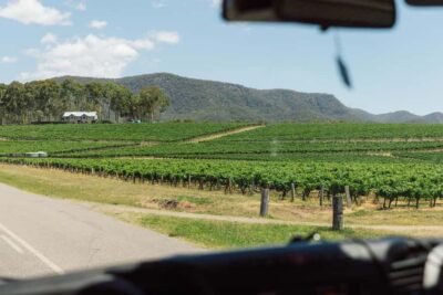 Full-Day Hunter Valley Wine Tour & Lunch