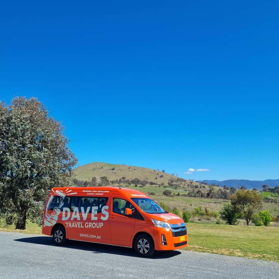 From Sydney: Hunter Valley Wine, Gin & Food Tastings Tour - Should you book it?