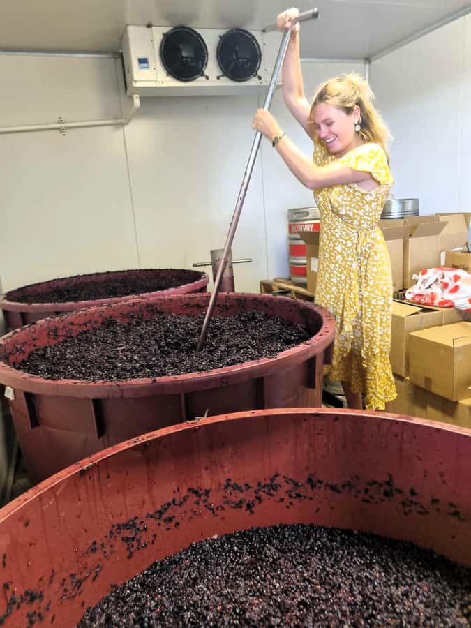 From Sydney: Hunter Valley Wine, Gin & Food Tastings Tour - Three boutique stops, three different moods