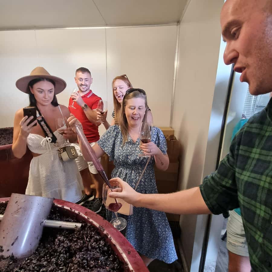 From Sydney: Hunter Valley Wine, Gin & Food Tastings Tour - Comfort, timing and what to bring