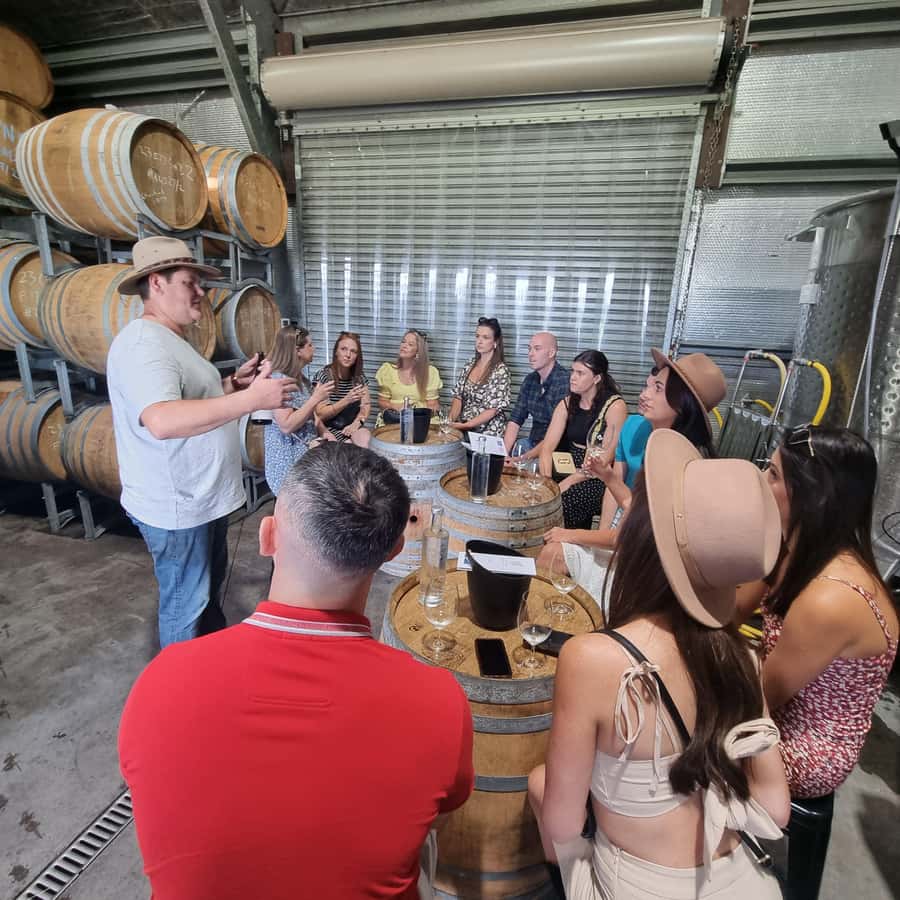 From Sydney: Hunter Valley Wine, Gin & Food Tastings Tour - Leaving Sydney for the valley