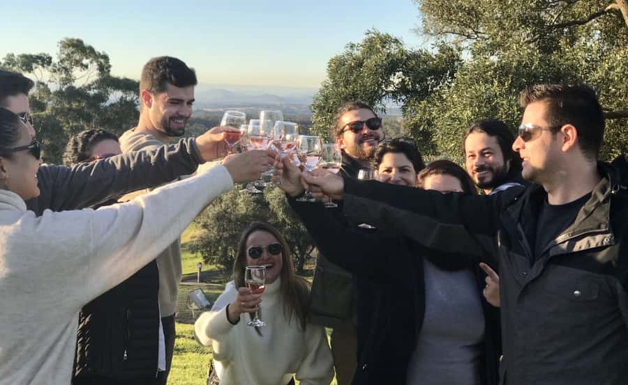 From Sydney: Hunter Valley Wine Tasting & Winery Picnic Tour - Why this Hunter Valley day trip works from Sydney
