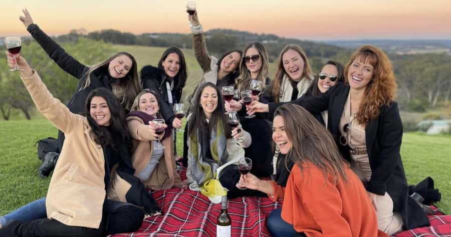 From Sydney: Hunter Valley Wine Tasting & Winery Picnic Tour - The guides make a real difference