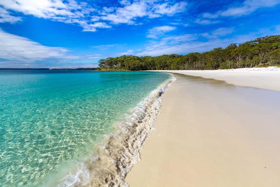 From Sydney: Jervis Bay Day Tour and Dolphin Watching Cruise - Who should book this tour