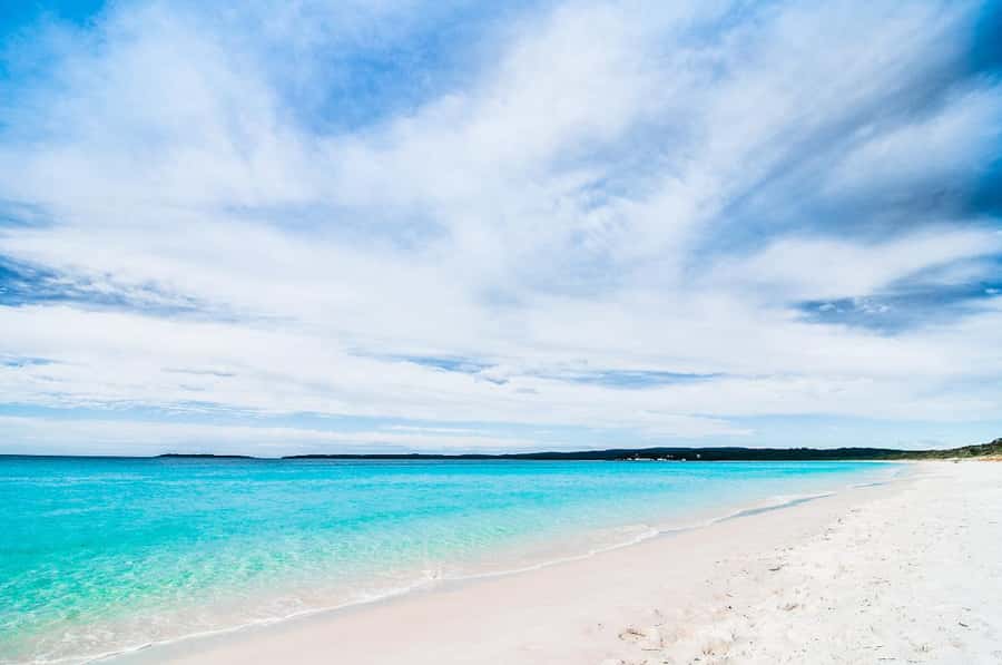 From Sydney: Jervis Bay Day Tour and Dolphin Watching Cruise - Huskisson for food and a change of pace