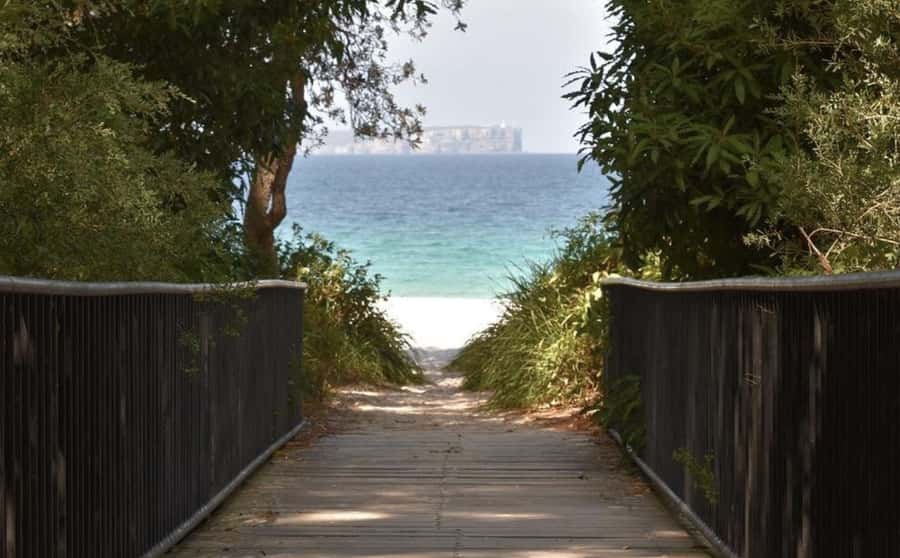 From Sydney: Jervis Bay Day Tour and Dolphin Watching Cruise - Hyams Beach and the famous white sand