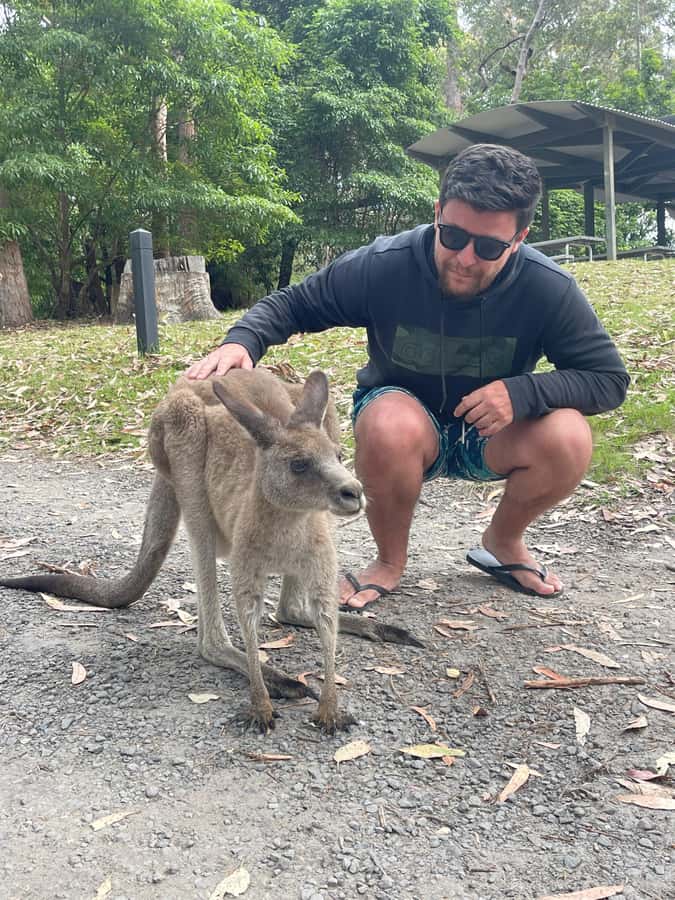 From Sydney: Jervis Bay Day Tour and Dolphin Watching Cruise - Cave Beach and Booderee National Park