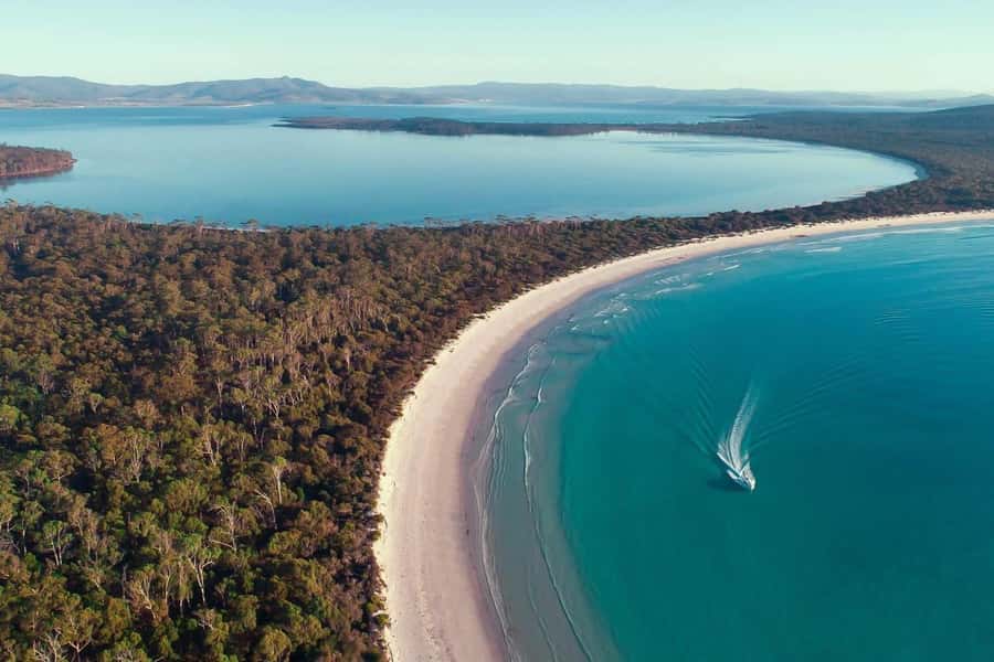 From Triabunna: Maria Island Cruise & Guided Walk with Lunch - Key points before you book