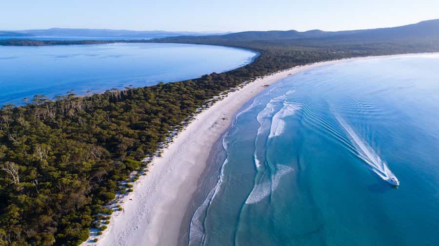 From Triabunna: Maria Island Cruise & Guided Walk with Lunch - The Ile Des Phoques and marine life