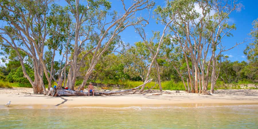 From Yeppoon: Great Keppel Island Snorkeling Hire with Lunch - Arriving at Fisherman’s Beach