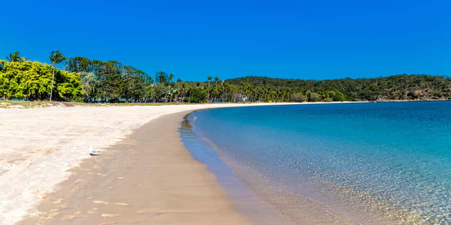 From Yeppoon: Great Keppel Island Snorkeling Hire with Lunch - What to pack and what to ask