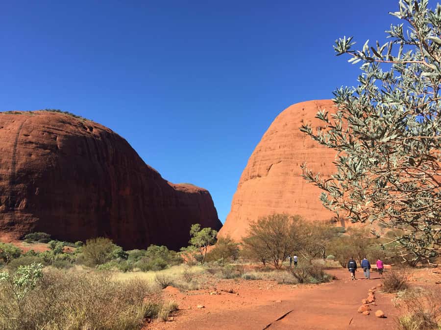 From Yulara: 3-Hour Small Group Kata Tjuta Afternoon Tour - Watching 36 domes change shape