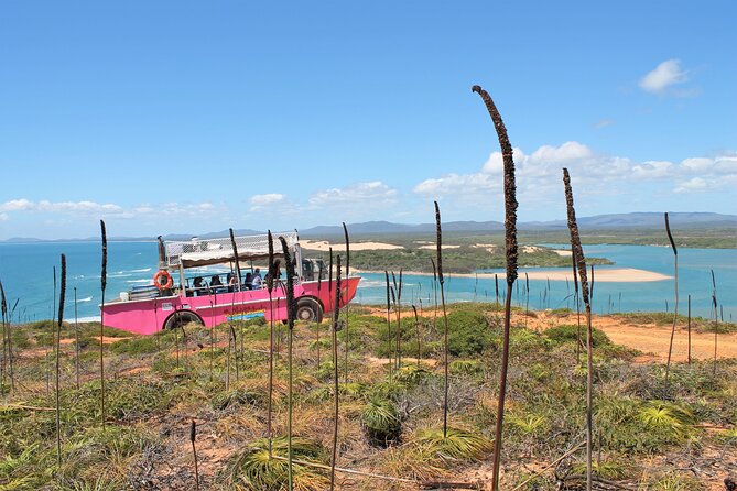 Full-Day 1770 Tour by LARC Amphibious Vehicle Including Sandboarding and Bustard Head Lightstation - A guide-led day rather than a silent transfer